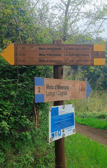 Vesuvius National Park